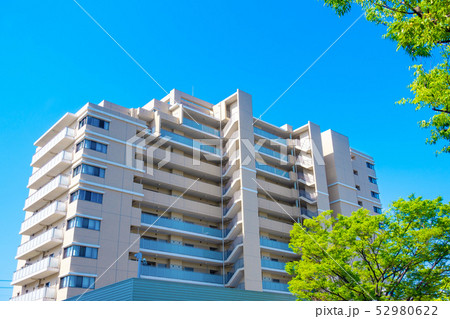 新緑のケヤキの街路樹とマンション 新緑のケヤキの街路樹とマンション 52980622