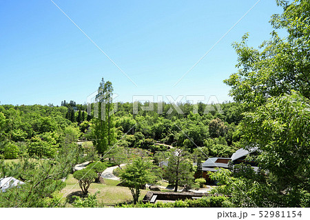 愛・地球博、モリコロパークの大自然（愛知県） 52981154