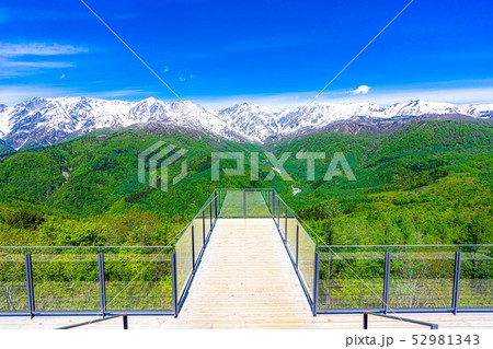 絶景テラス　ハクバマウンテンハーバー　【長野県】 52981343