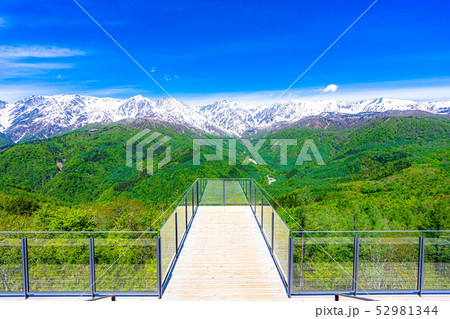 絶景テラス　ハクバマウンテンハーバー　【長野県】 52981344