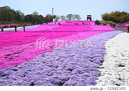 4月　市貝町24芝桜の花畑･芝ざくら公園 52982103