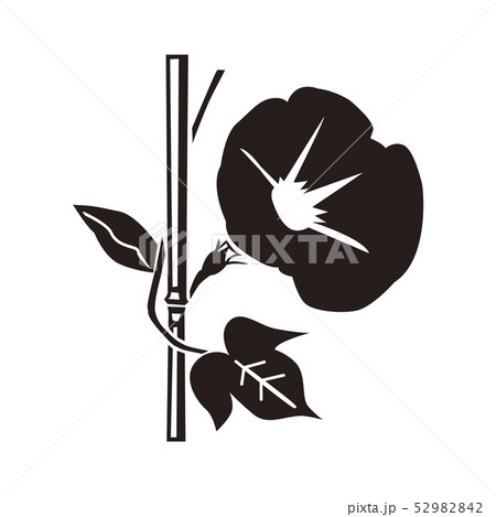 朝顔のイラスト素材 52982842 Pixta