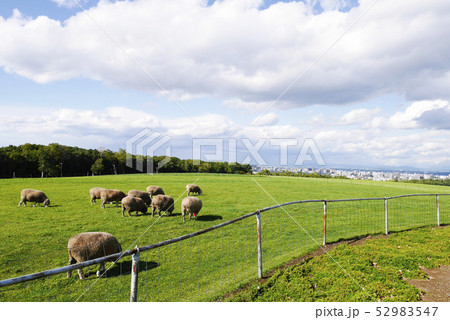 北海道 北海道 52983547