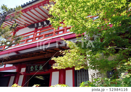 法輪寺 52984116