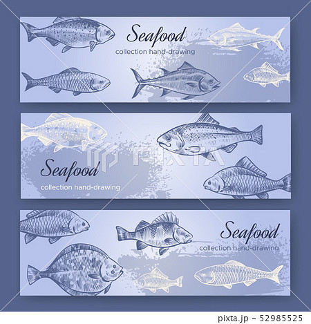 Seafood flyers. Vintage mediterranean fish food poster, sea restaurant flyer and banners drawing 52985525