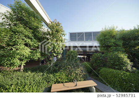 日本の川崎都市景観　東急電鉄　元住吉駅などを望む 52985731