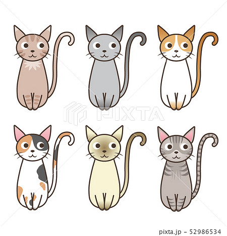 動物/猫/バリエーション 動物/猫/バリエーション 52986534