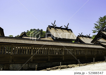 島根県出雲 出雲大社 御本殿 島根県出雲 出雲大社 御本殿 52986547