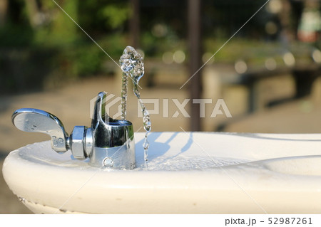 夏の公園 水飲み場 きれいな水 冷たい水 おいしい水の写真素材