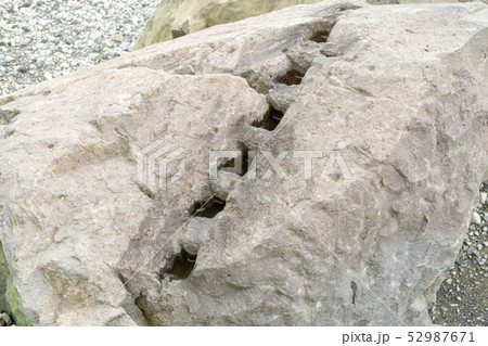 駿府城石垣 矢穴 駿府城石垣 矢穴 52987671