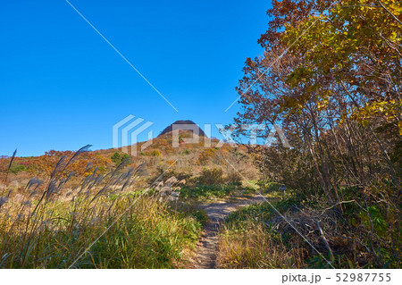 秋の群馬県榛名湖町の榛名湖メロディーライン(県道33号)付近のゆうすげの道から相馬山を見る 52987755