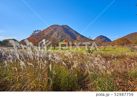 秋の群馬県榛名湖町の榛名湖メロディーライン(県道33号)付近から榛名富士と烏帽子ヶ岳を見る 52987756