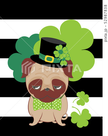 Pug with shamrock 52987838