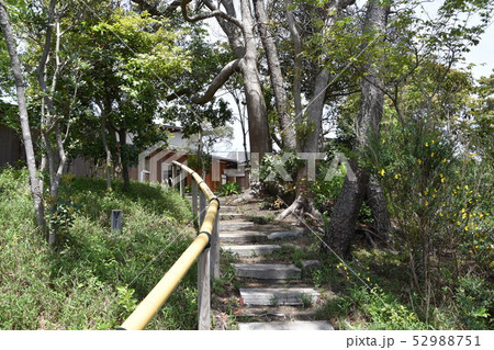 茅ヶ崎ゆかりの人物館 茅ヶ崎ゆかりの人物館 52988751