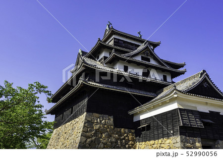 島根県松江市　松江城　天守 52990056