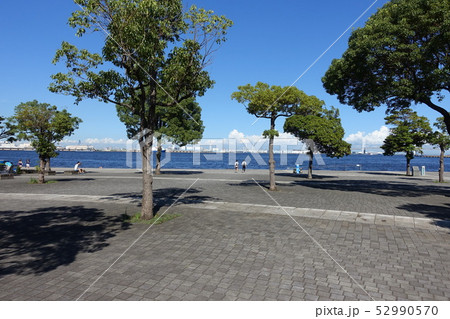 横浜 52990570