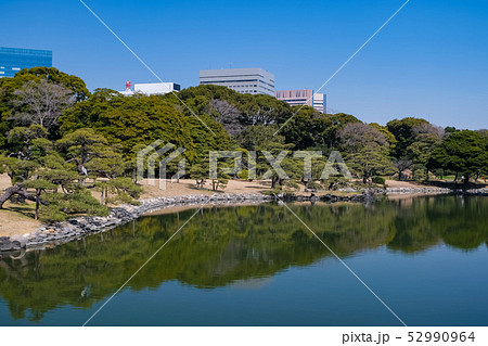 浜離宮恩賜庭園 横堀 52990964
