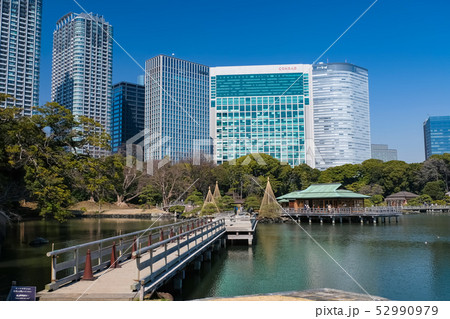 浜離宮恩賜庭園 潮入の池 お伝い橋 浜離宮恩賜庭園 潮入の池 お伝い橋 52990979