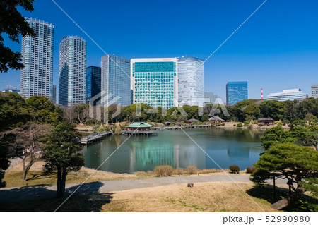 浜離宮恩賜庭園 潮入の池 浜離宮恩賜庭園 潮入の池 52990980