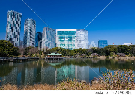 浜離宮恩賜庭園 潮入の池 浜離宮恩賜庭園 潮入の池 52990986