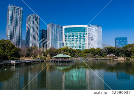 浜離宮恩賜庭園 潮入の池 浜離宮恩賜庭園 潮入の池 52990987