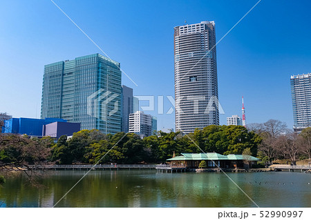 浜離宮恩賜庭園 潮入の池の写真素材 52990997 Pixta