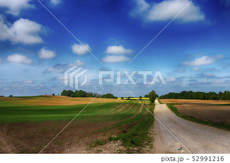 Gravel country road through farm fields Gravel country road through farm fields 52991216