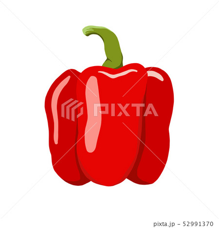 sweet bell pepper vector illustration. 52991370