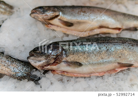Fish, fish steaks and fish fillets lie on the ice in the supermarket Fish, fish steaks and fish fillets lie on the ice in the supermarket 52992714