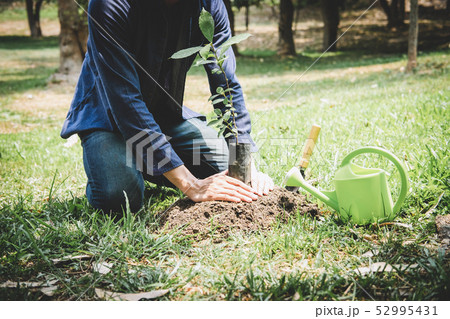 World environment day reforesting, Hands of young 52995431