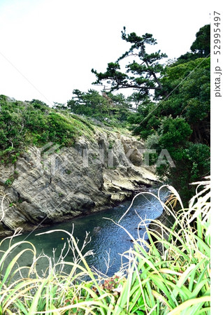 三浦半島 横須賀市荒崎公園 どんどんびき 三浦半島 横須賀市荒崎公園 どんどんびき 52995497