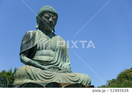 犬山成田山 新生大仏 犬山成田山 新生大仏 52995636