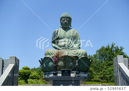 犬山成田山　新生大仏 52995637