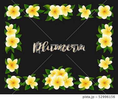 Tropical hawaiian frame with jungle exotic flowers and yellow blooms 52996156