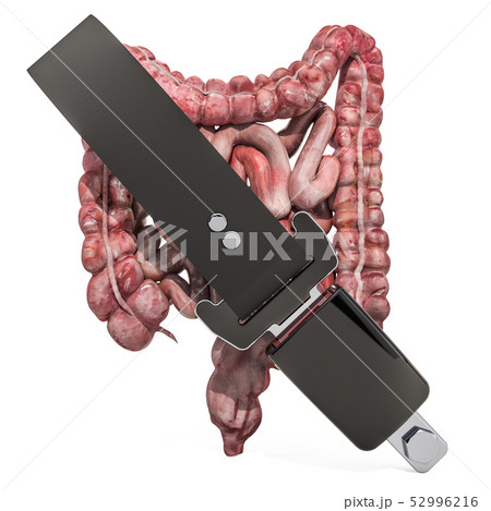 Human intestines with safety belt Human intestines with safety belt 52996216