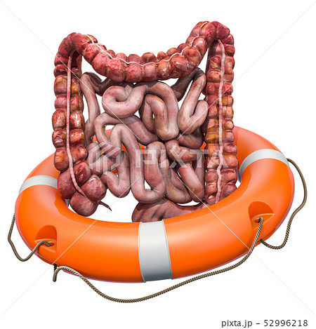 Human intestines with lifebelt Human intestines with lifebelt 52996218
