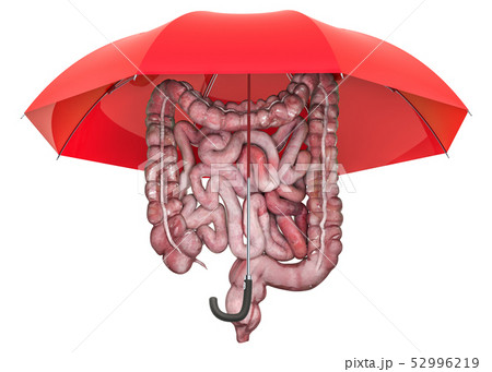 Human intestines under umbrella Human intestines under umbrella 52996219