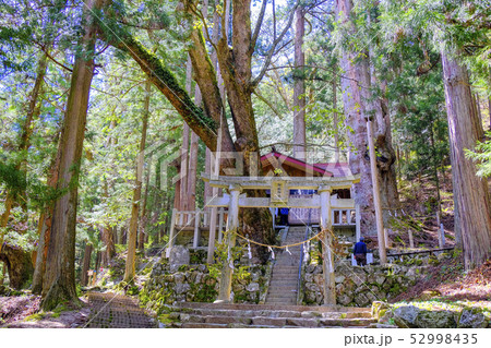 神坂神社と東山道1 神坂神社と東山道1 52998435