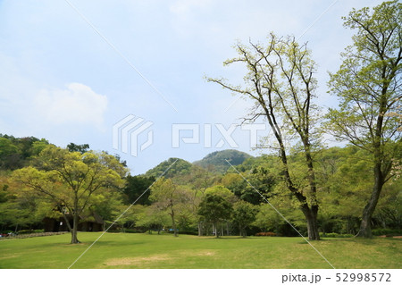 春の公園 春の公園 52998572