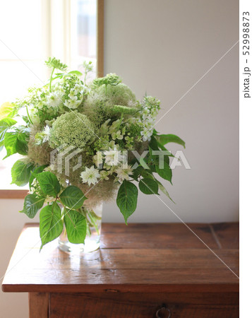 柏葉アジサイのブーケ 52998873