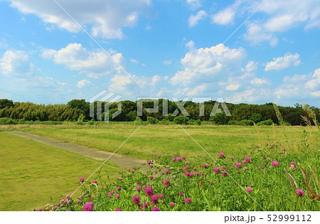 風景　緑　空　春　思川　河川敷　道　杤木 52999112
