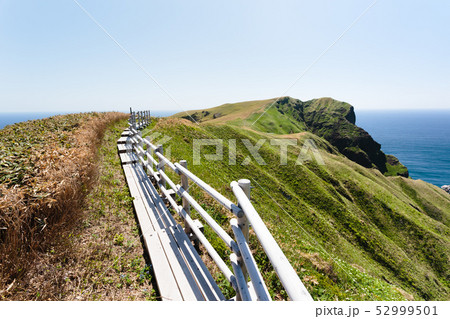 日本・5月の北海道礼文島 52999501