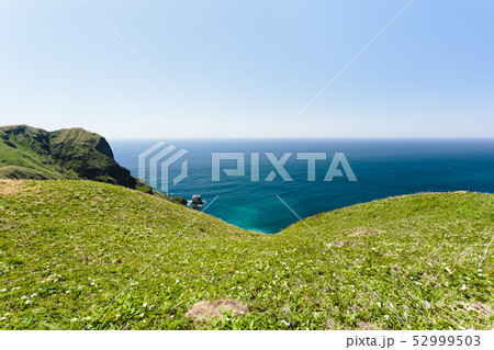 日本・5月の北海道礼文島 52999503
