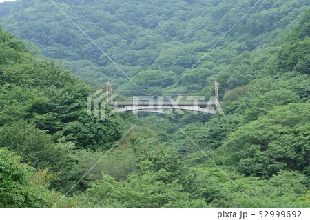 新碓氷川橋梁 新碓氷川橋梁 52999692