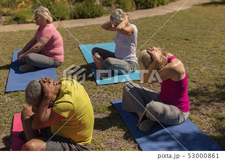 Senior people performing yoga in the park Senior people performing yoga in the park 53000861