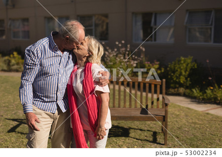 Senior couple kissing each other in the park 53002234