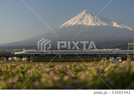 Japan Bullet Train and Mt. Fuji, Shizuoka, Japan 53005442