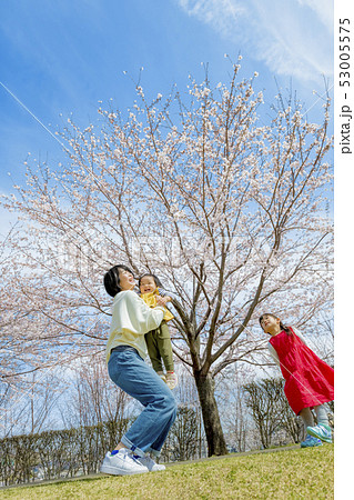 桜の咲く公園で遊ぶ母と娘たち 53005575