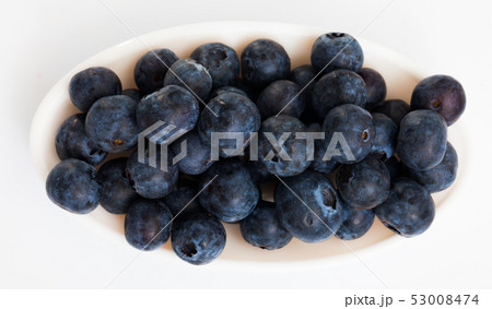 Top view of bilberries in bowl 53008474