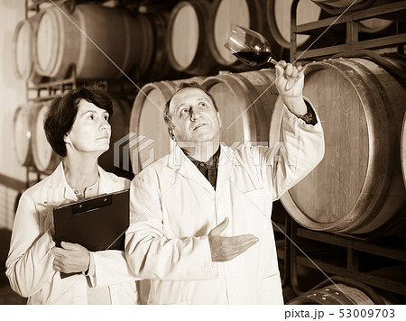 Worker of winery holds glass of red wine in hand and shows him to expert 53009703